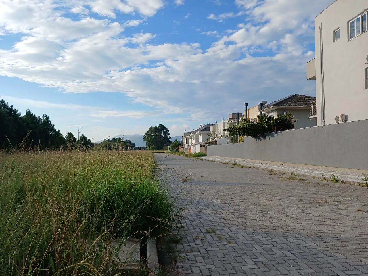 Terreno com 865 m² no bairro Ribeirão da Ilha - Foto 2