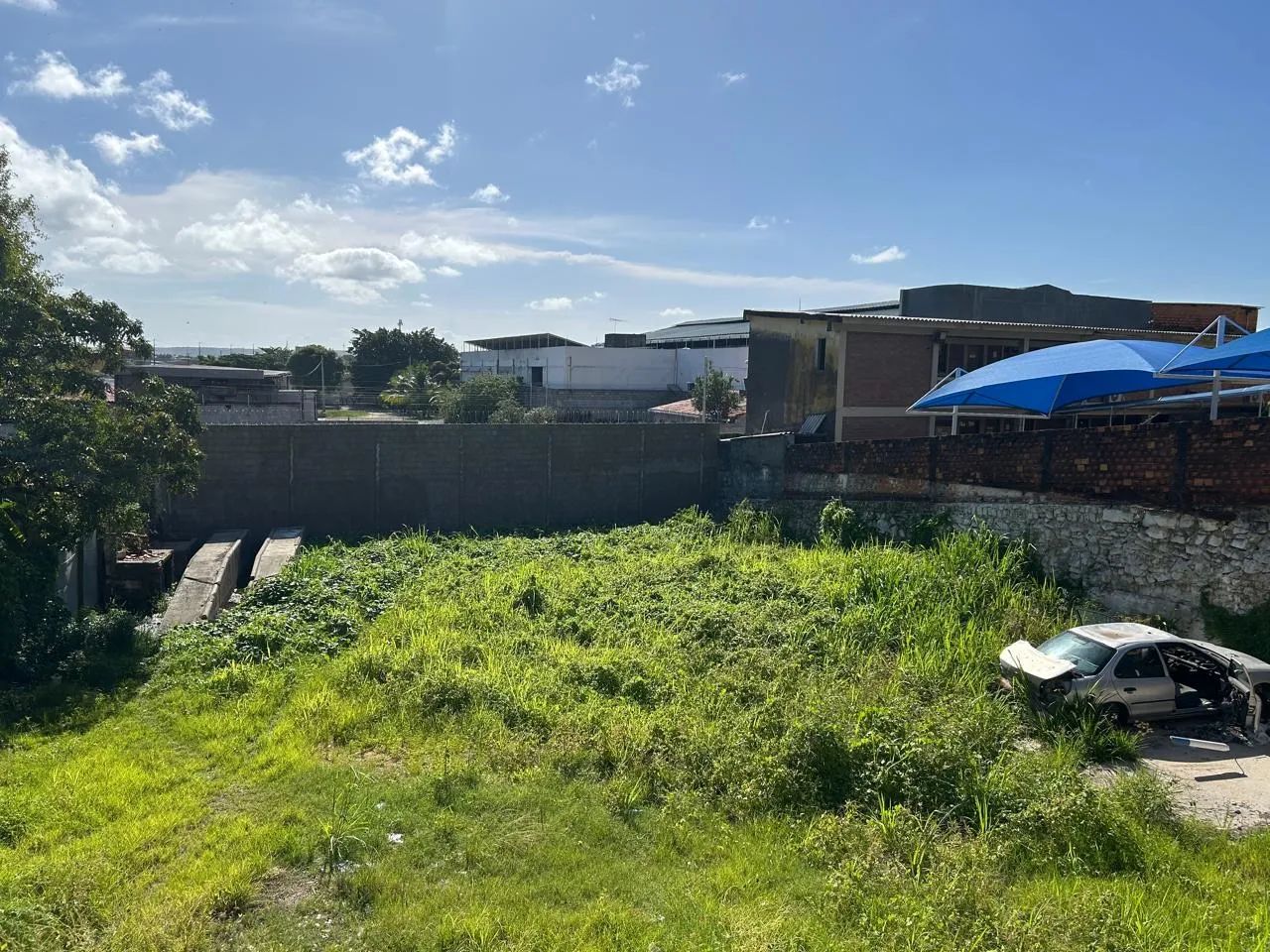 Terreno/cambona - Foto 4