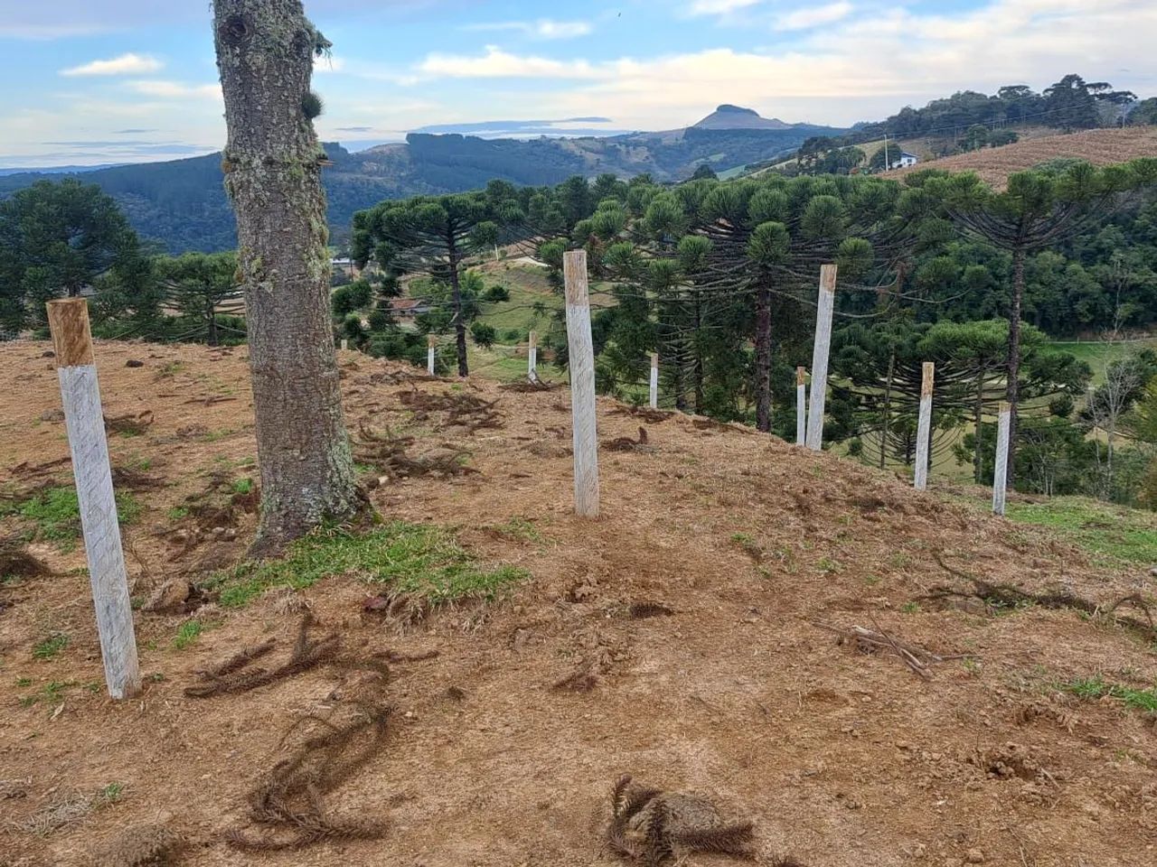 9Terreno em alfredo vagber  - Foto 3