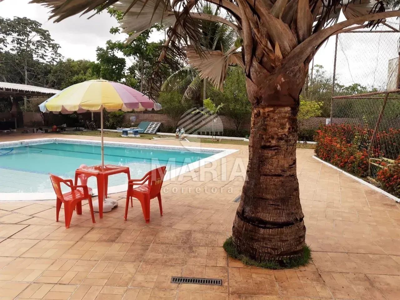Sítio com piscina à venda em Muribeca/PE! - Foto 4