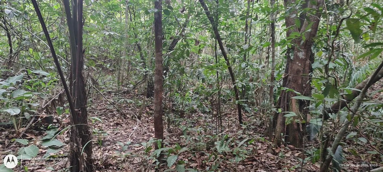 Excelente chácara de lazer. - Foto 3