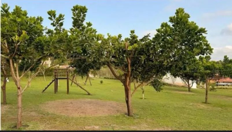 Terreno em Chã Grande - 800m2 - Foto 8