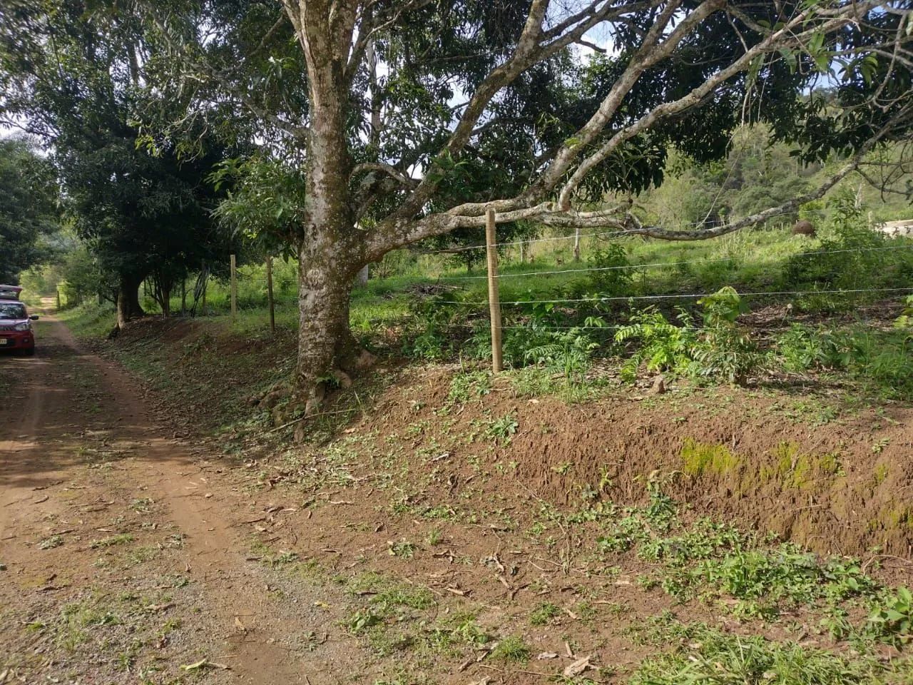 Foto - Juiz de Fora - Nova Era