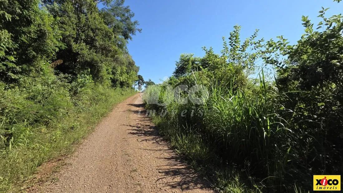 SÍTIO PARA VENDA NO BAIRRO STILE ECK - Foto 2