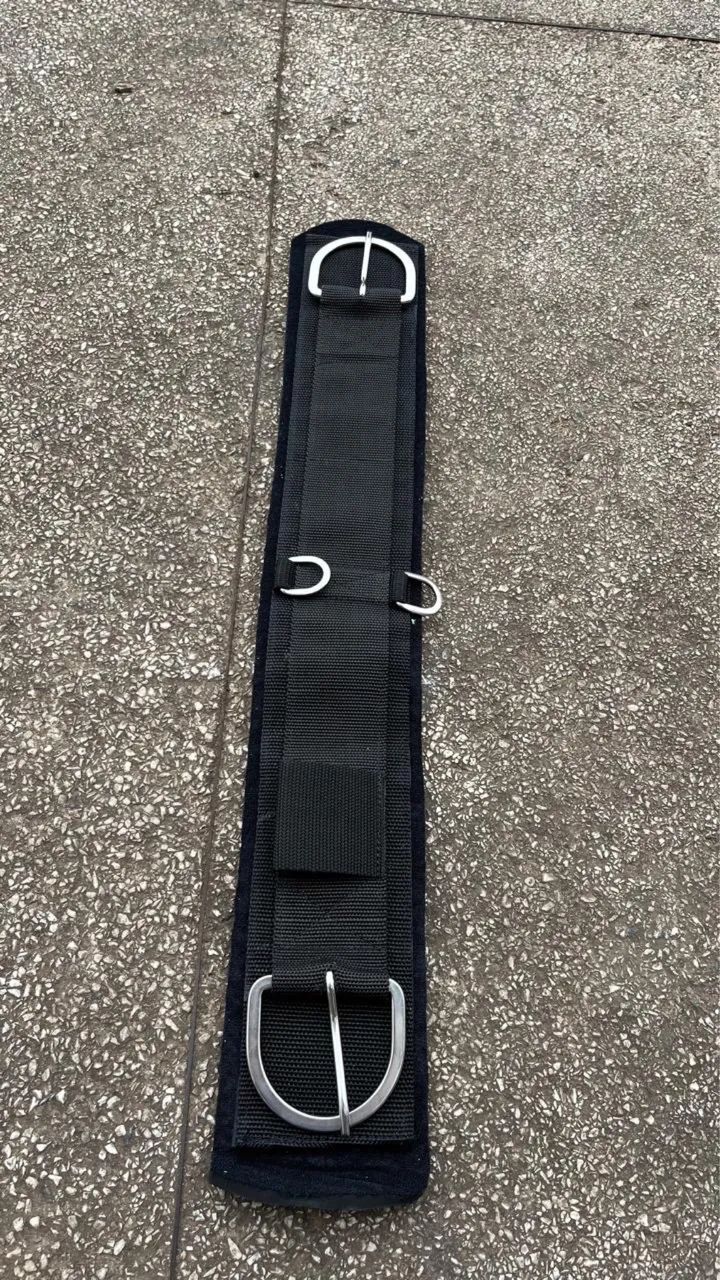 Barrigueiras  - Foto 3