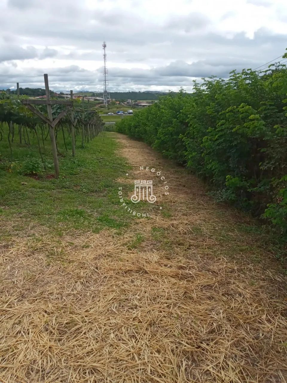 ÁREA COMERCIAL À VENDA - BAIRRO DO POSTE - JUNDIAI/SP - Foto 4