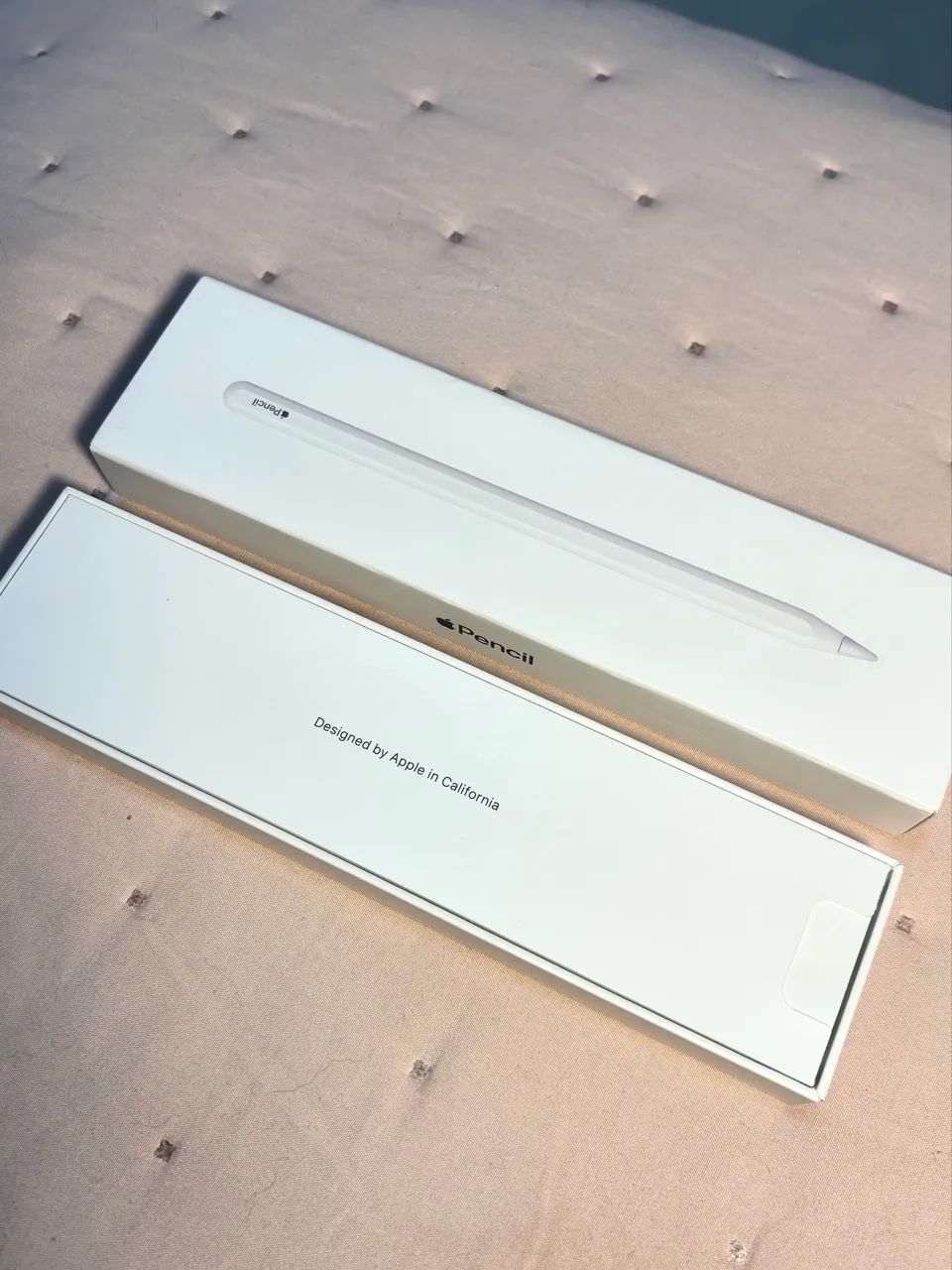 Apple Pencil 2ª Geração Usada Funcionando Perfeitamente - Foto 2