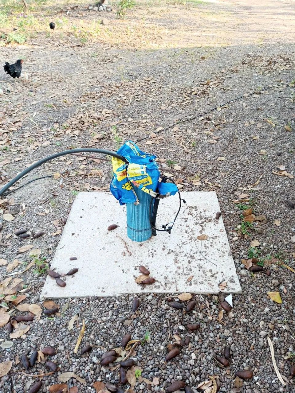 Sítio bárato - Foto 2