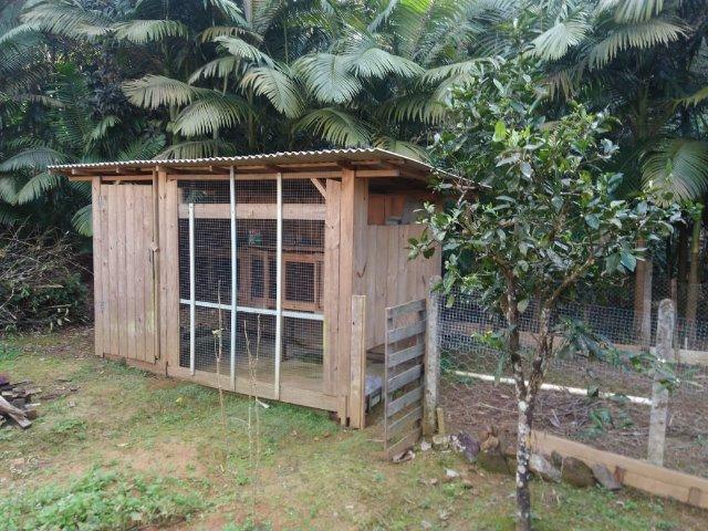 Chácara Em Guaramirim - Foto 13