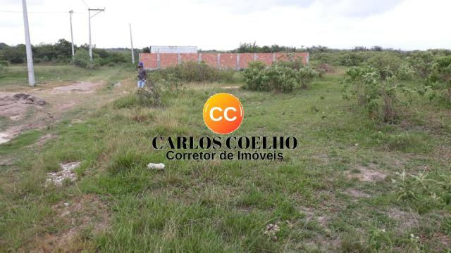Cód: 12