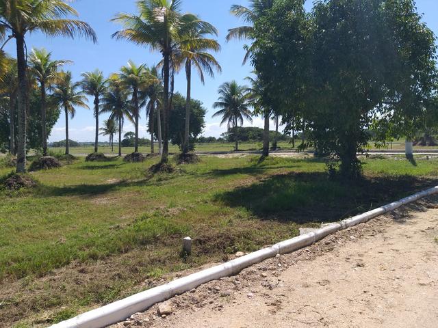 Lotes em Pré lançamento!!! - Foto 5