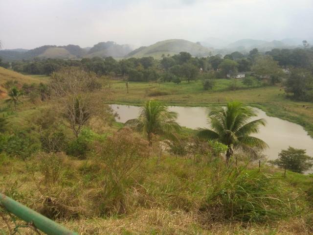 Linda fazenda em Cachoeiras de Macacu 20 alqueires oportunidade!!!! - Foto 8