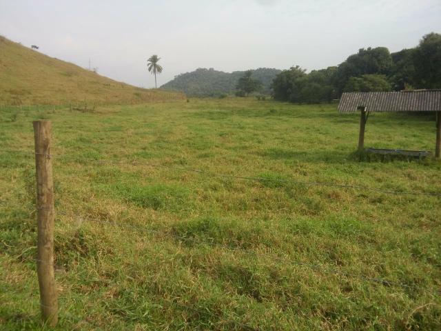 Linda fazenda em Cachoeiras de Macacu 20 alqueires oportunidade!!!!