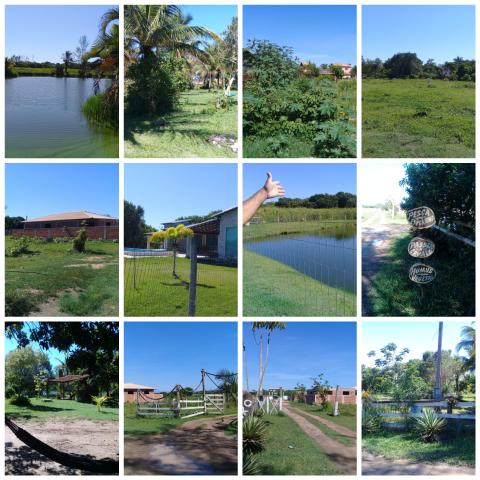 Lotes 200m2 prontos para construir!!! Imperdível - Foto 2