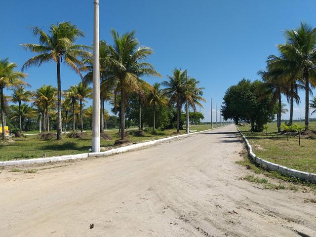 Reserve seu lote legalizado!!! - Foto 2