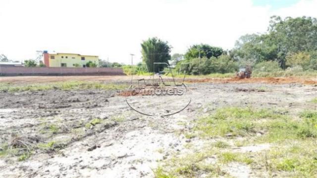Terreno à venda em Costa do ipiranga, Gravataí cod:1013 - Foto 9