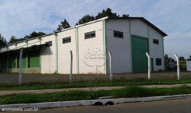 Galpão/depósito/armazém para alugar em Águas mortas, Gravataí cod:1582