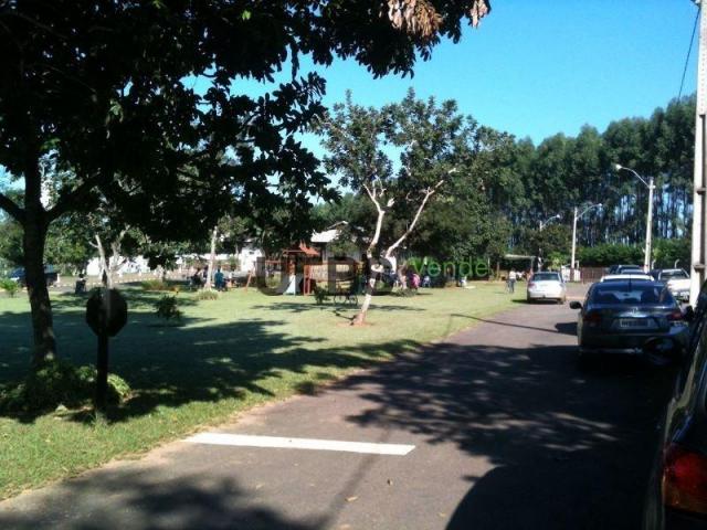 Terreno à venda, 1239 m² por r$ 115.000 - zona rural - hidrolândia/go - Foto 7