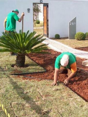 Serviços de jardinagem 9 * - Foto 2