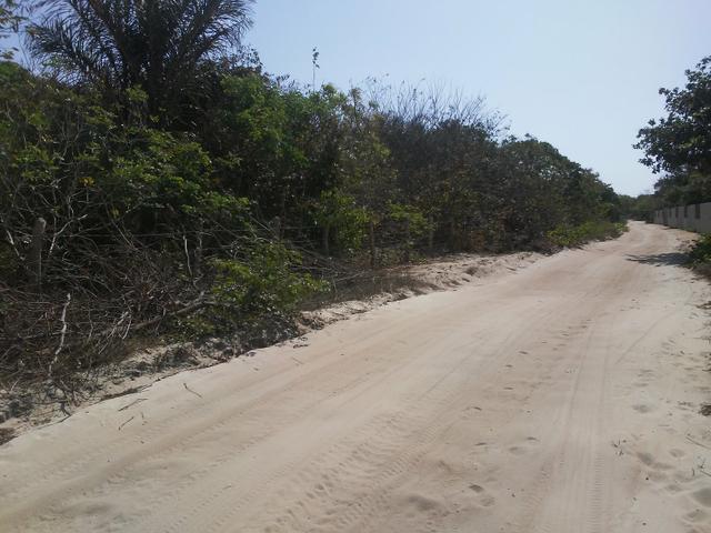 Vendo terreno na lagoa do Paraiso de Jericoacoara - Foto 2