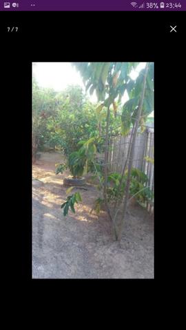 Vendo ou TROCO 2 casas (Leia todo o anuncio) - Foto 12