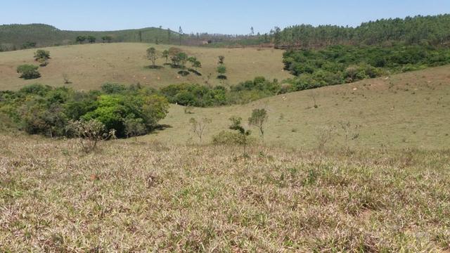 91C/Bela fazendinha de 13 ha em ótimo local e com tudo que a gente quer - Foto 19