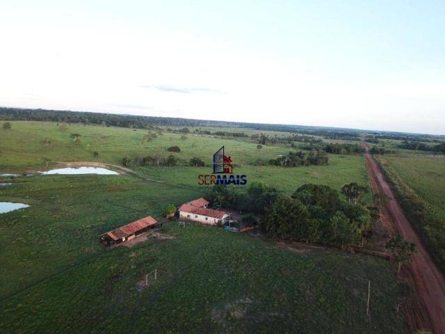 Fazenda à venda, 105 alqueires por R$ 2.625,000 - Alta Floresta D'Oeste/RO