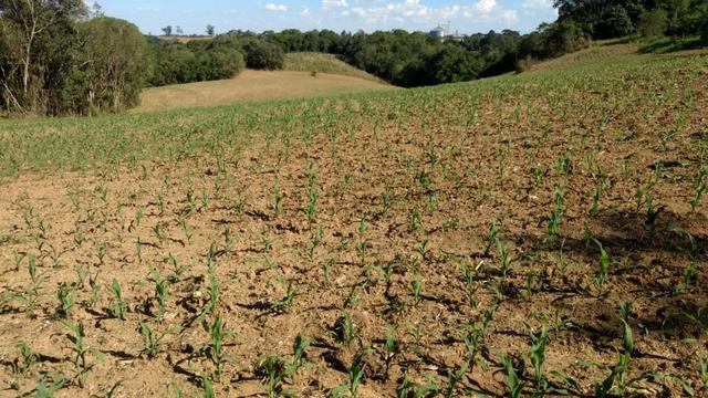 Chácara em Campo Largo Bairro Rondinha - Estrada da Sereia - Foto 7