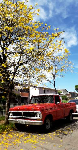 F100 raridade!! - Foto 3