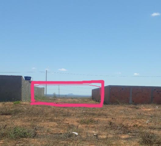 Terreno Rosa de Sharon 12x30