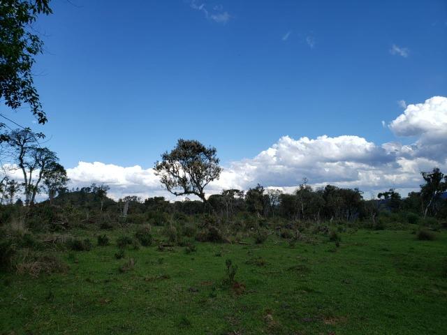 Sitio em Urubici /chácara dentro da cidade/área rural na cidade de Urubici