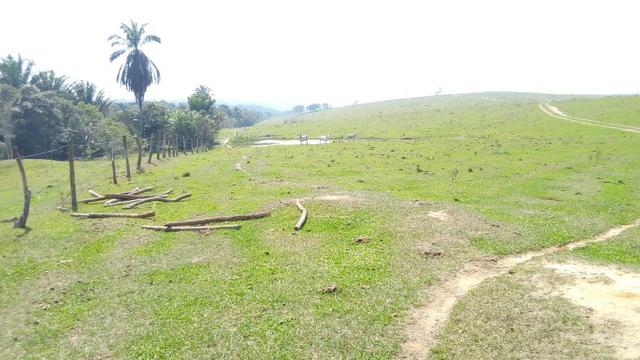 Vendo belíssima fazenda em são vicente 330 alqueires - Foto 16