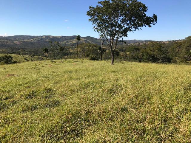 Chácara em Senador Canedo, 21 alqueires, 25 km de Goiânia _ saída para Bonfinopólis - Foto 13