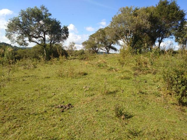 Chácara de 4.300m2 em Bocaiuva do Sul