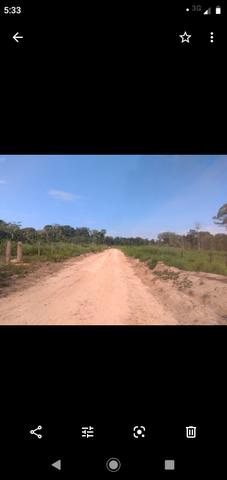 Vendo ou troco colônia por casa em rio branco ou bujari - Foto 5
