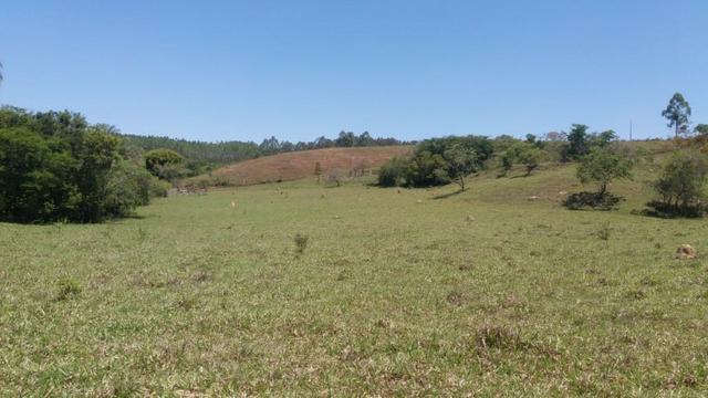 91C/Bela fazendinha de 13 ha em ótimo local e com tudo que a gente quer - Foto 16
