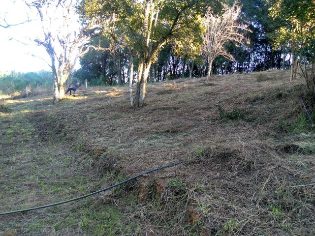 Chácara - Foto 6