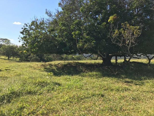 Chácara em Senador Canedo, 21 alqueires, 25 km de Goiânia _ saída para Bonfinopólis - Foto 9