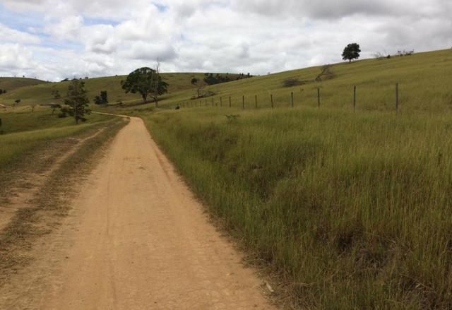Fazenda região de Itanhaém BA - Foto 2