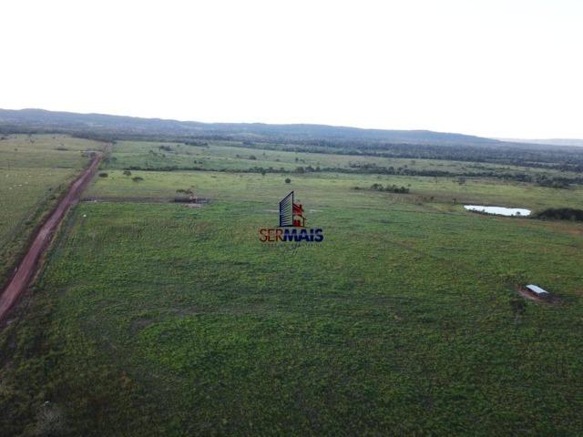 Fazenda à venda, 105 alqueires por R$ 2.625,000 - Alta Floresta D'Oeste/RO - Foto 3
