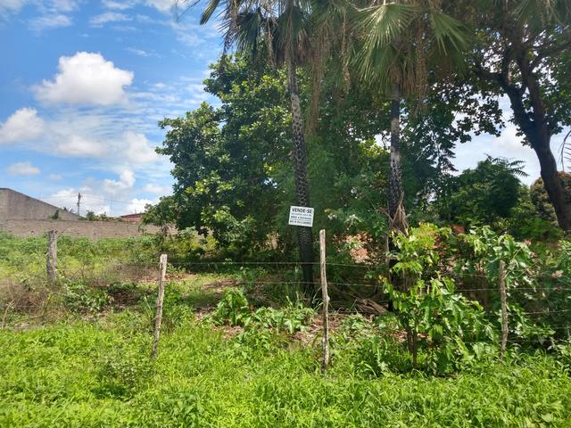 Vendo 2 Lotes em Horizonte CE - Foto 3