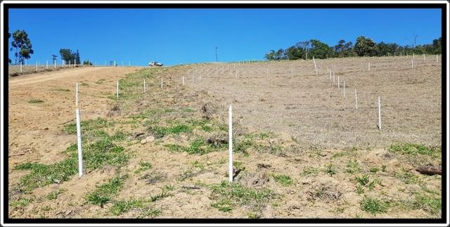 Terreno próximo á cotia