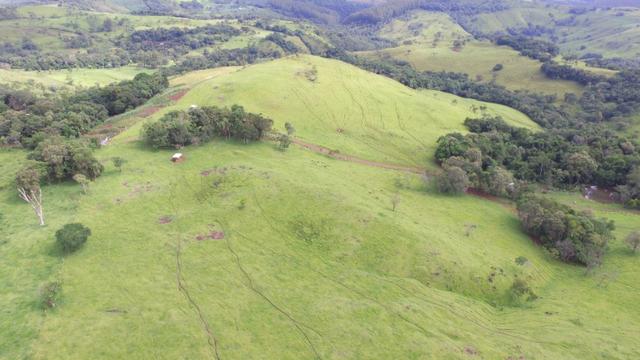 Fazenda - Foto 14