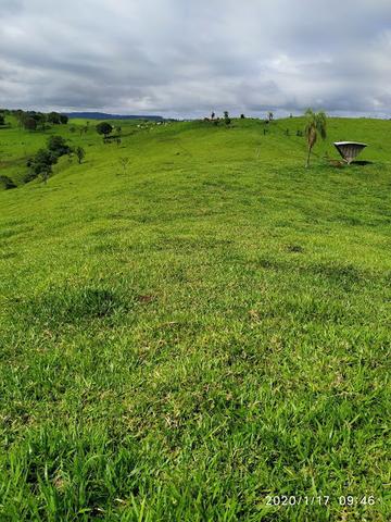 Fazenda - Foto 6