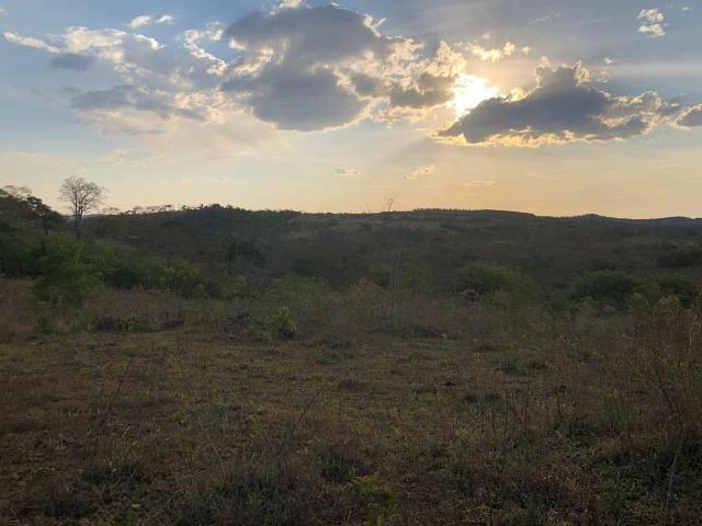 Chácara 20.000 m2 - Foto 12