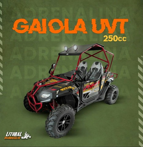 GAIOLA UTV NEXT 250CC