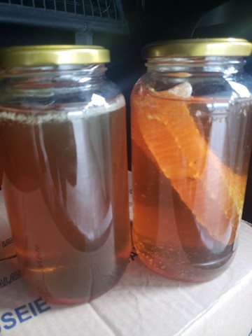 Mel puro de abelha (tipo exportação) 1kg - Foto 2