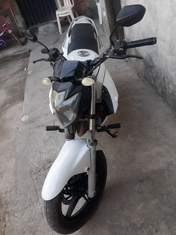 LINDA FAZER 250 14/14