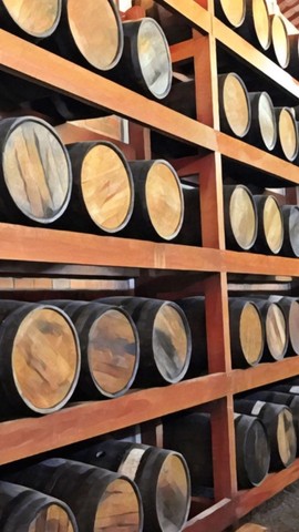 Barril de bálsamo  - Foto 4