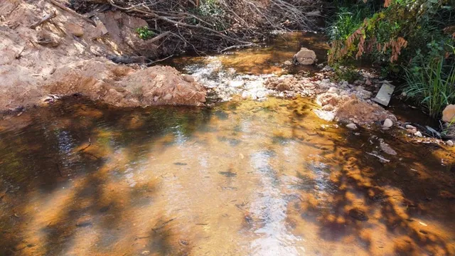 Sítio com 35 hectares